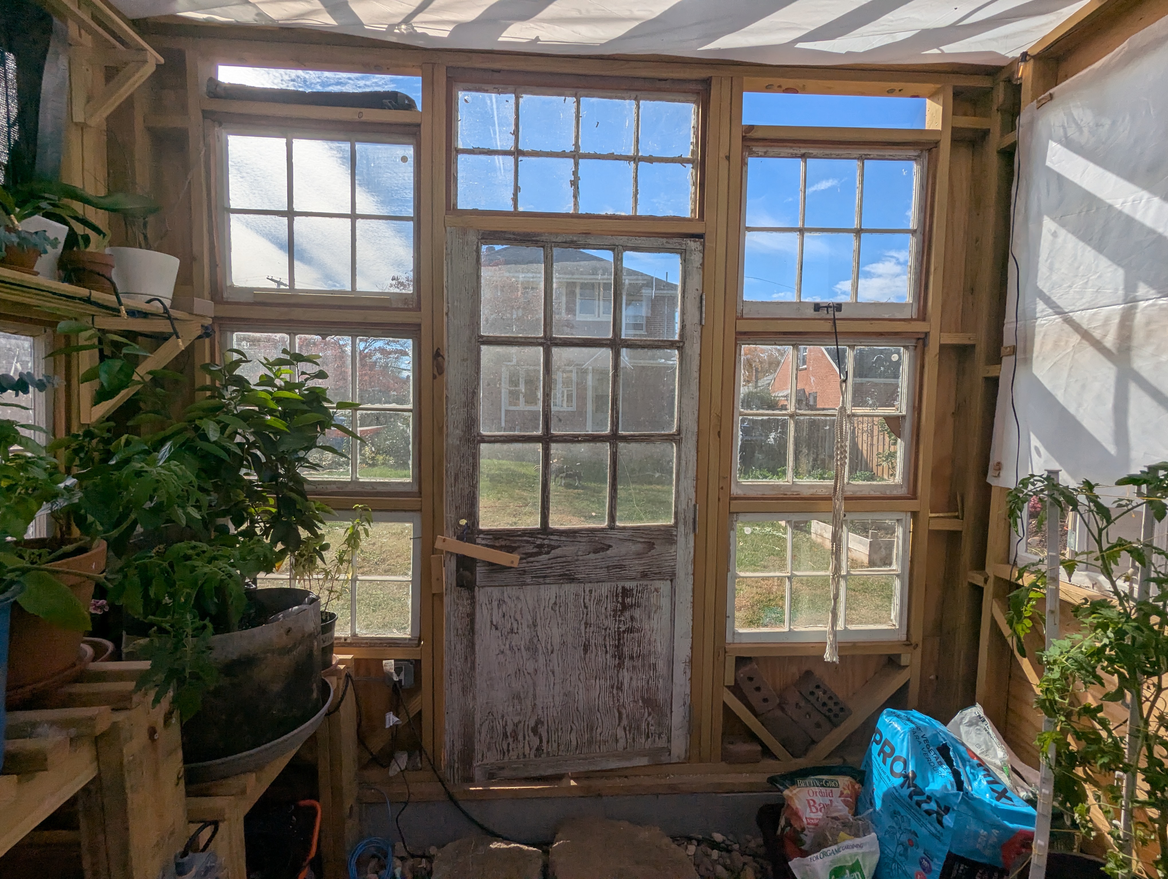Greenhouse inside