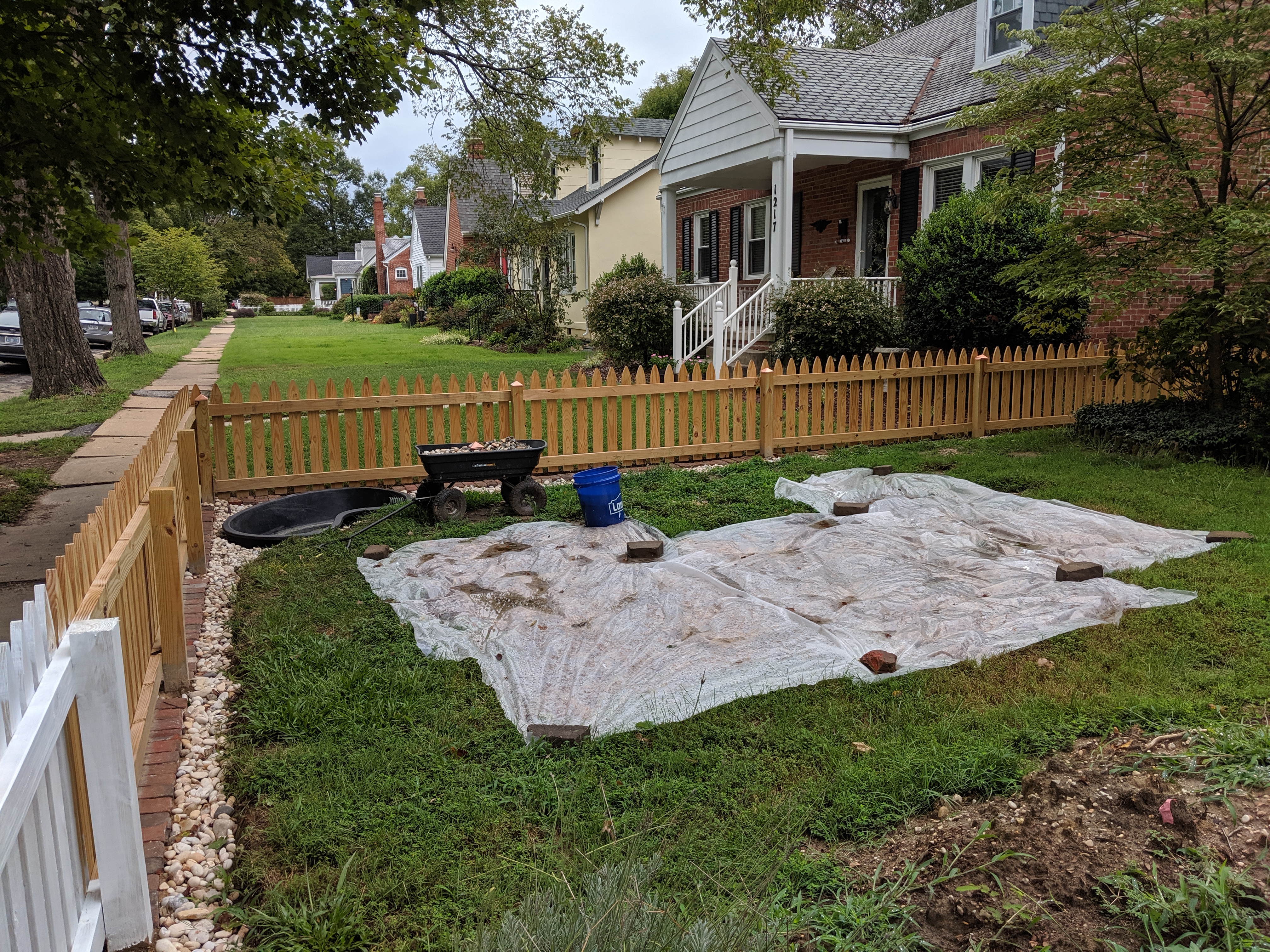 kill your grass