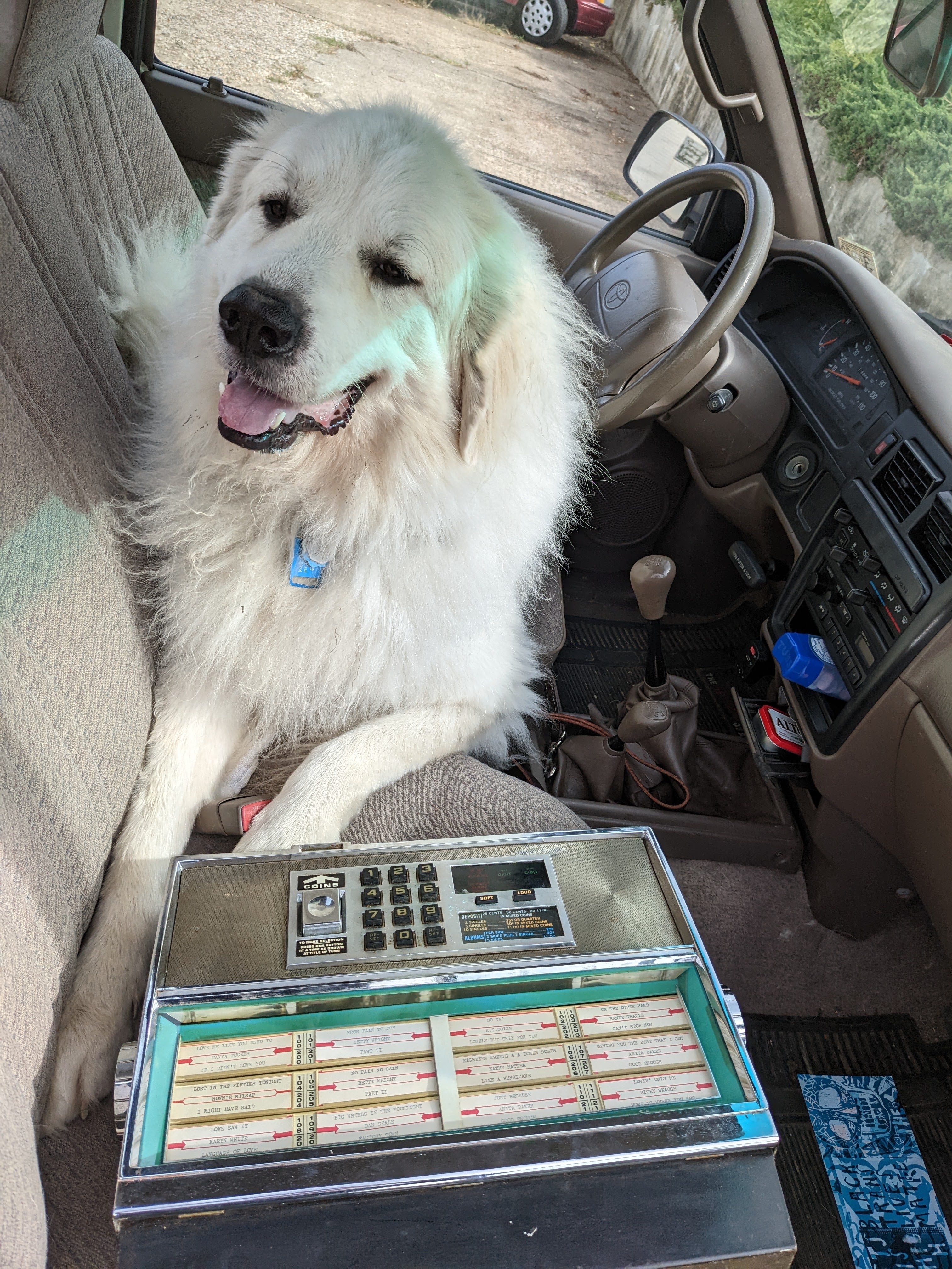 Wolf and Jukebox