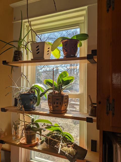 window