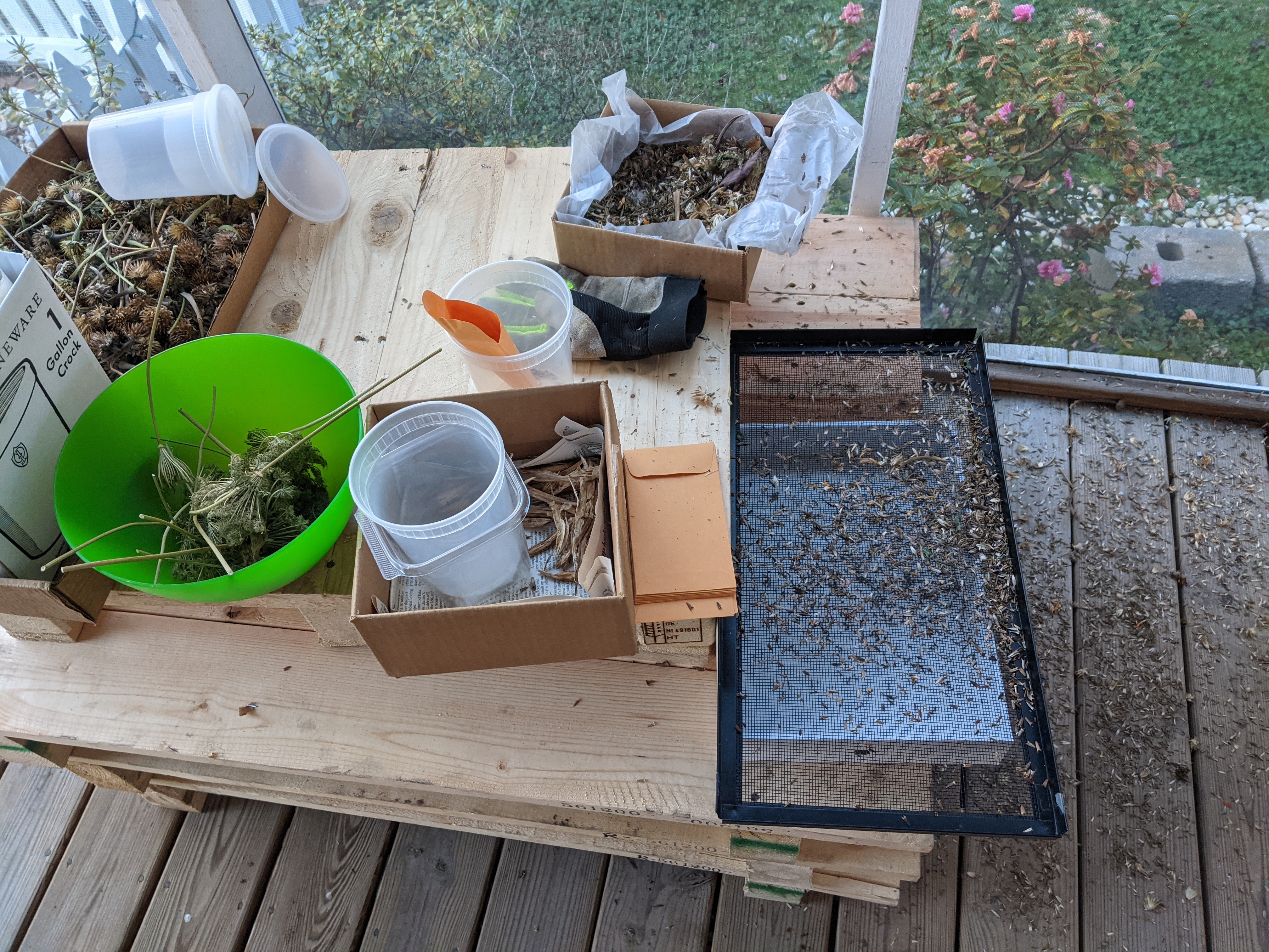Seed catching setup