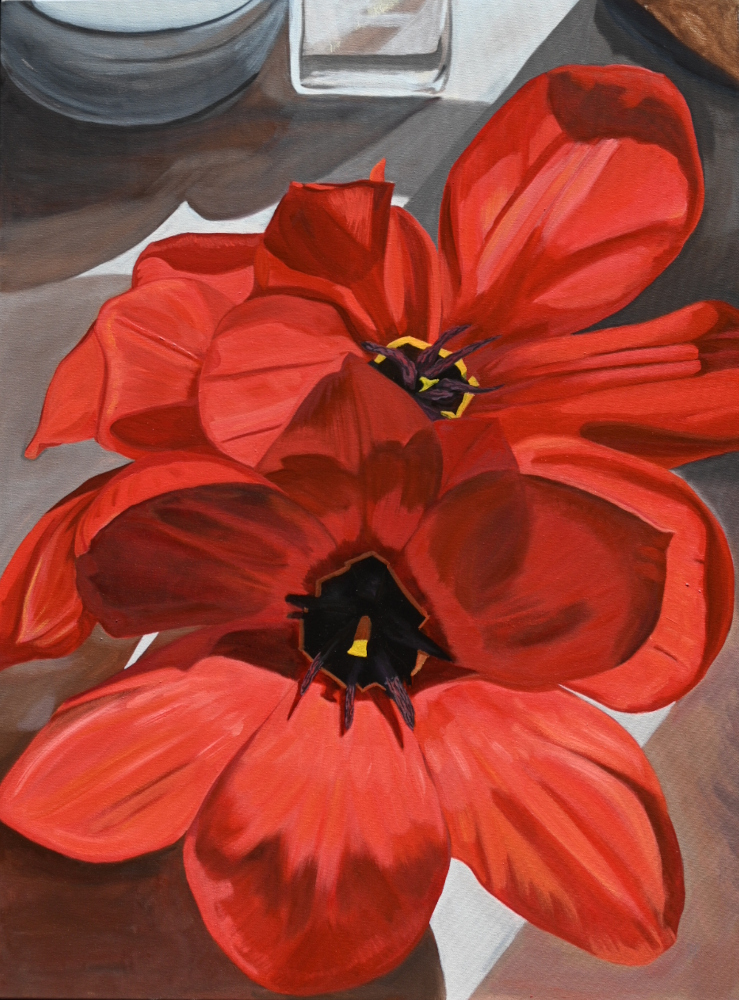 Guilford Red Tulip